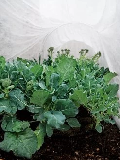 Summerweight Garden Fabric -Garden Tools Store 32644 7936 tif