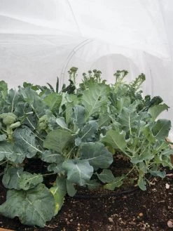 All-Purpose Garden Fabric -Garden Tools Store 32646 7940 tif