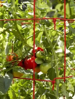Tomato Cages, Set Of 4 -Garden Tools Store 34182 592