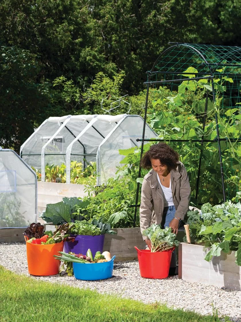 3-Season Plant Protection Tent, 4' X 8' 4 3-Season Plant Protection Tent, 4' X 8' - Image 2