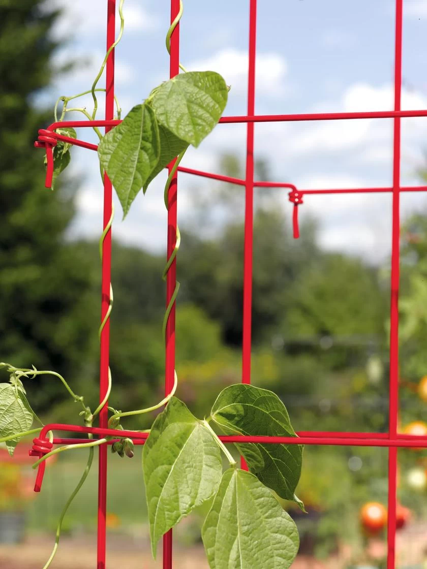 Bean Tower 9 Bean Tower - Image 7