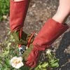 Rose Gloves -Garden Tools Store 36874 0026 tif