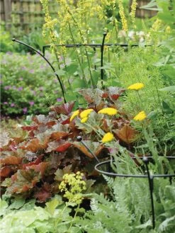 Essex Plant Supports -Garden Tools Store 37423 280 tif