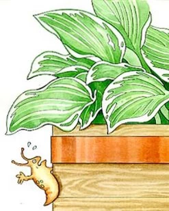 Copper Slug Tape 7 Copper Slug Tape -Garden Tools Store 38 994 b