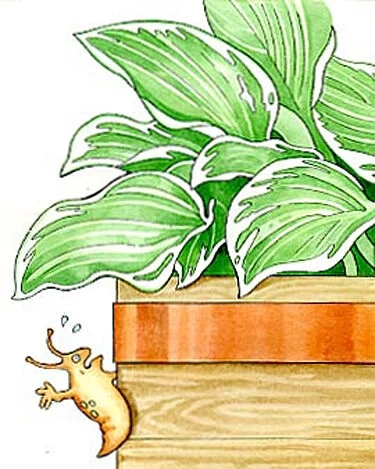 Copper Slug Tape 5 Copper Slug Tape - Image 3