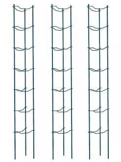 Tomato Ladders, Set Of 3 -Garden Tools Store 38184 002E psd