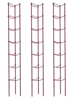Tomato Ladders, Set Of 3 -Garden Tools Store 38185 002E psd