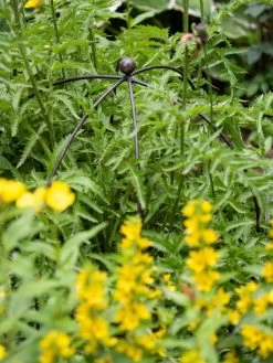 Jardin Bird Cage Support, 26" 8 Jardin Bird Cage Support, 26" -Garden Tools Store 39 520 0077 tif