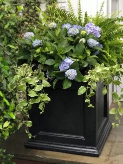 Fairfield Self-Watering Square Planter, 20” X 20” -Garden Tools Store 39 618 205V tif