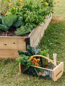 Garden Hods -Garden Tools Store 39 761 572 tif