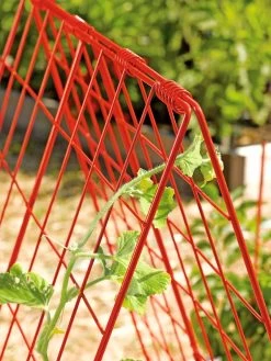 Deluxe Cucumber Trellis 12 Deluxe Cucumber Trellis -Garden Tools Store 39806 542 tif