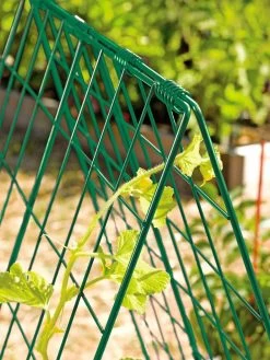 Deluxe Cucumber Trellis 13 Deluxe Cucumber Trellis -Garden Tools Store 39806 GR edit tif
