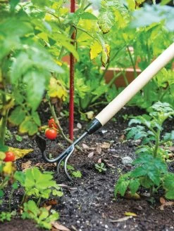 Gardener's Lifetime Long-Handled Double Tool -Garden Tools Store 3 4 crop 8592107 2460 tif