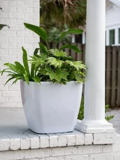 Viva Square Self-Watering Rolling Planter, 20" Diameter, Set Of 2 19 Viva Square Self-Watering Rolling Planter, 20" Diameter, Set Of 2 -Garden Tools Store 3 4 crop 8612930 0033 tif