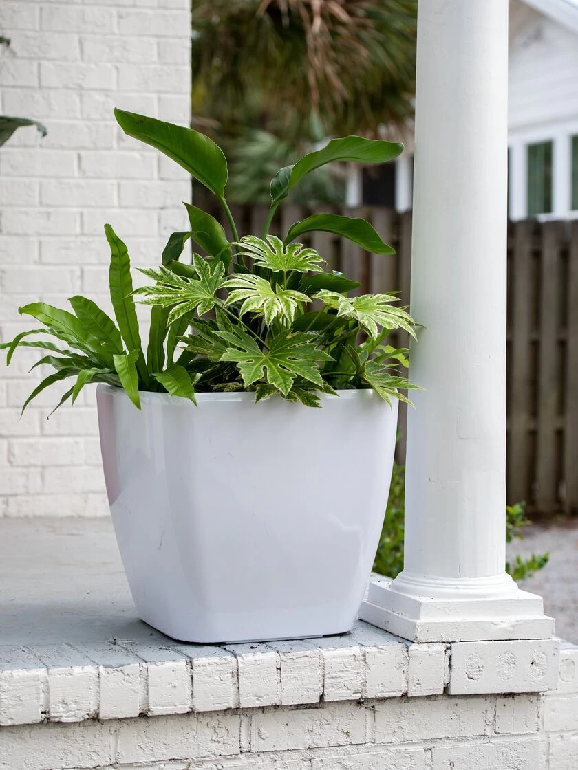 Viva Square Self-Watering Rolling Planter, 20" Diameter, Set Of 2 7 Viva Square Self-Watering Rolling Planter, 20" Diameter, Set Of 2 - Image 5