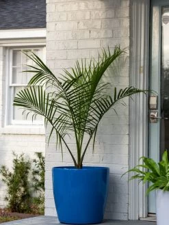 Viva Round Self-Watering Rolling Planter, 20" Diameter, Set Of 2 16 Viva Round Self-Watering Rolling Planter, 20" Diameter, Set Of 2 -Garden Tools Store 3 4 crop 8612933 0024 tif