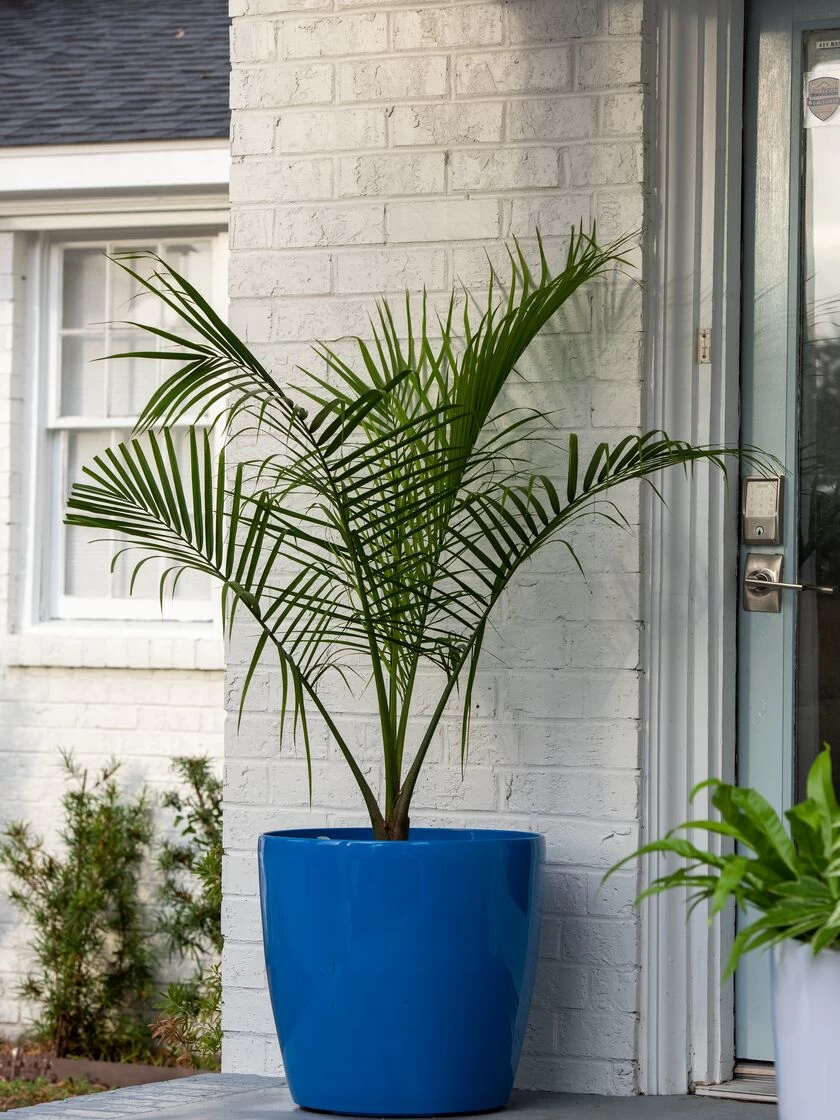 Viva Round Self-Watering Rolling Planter, 20" Diameter, Set Of 2 5 Viva Round Self-Watering Rolling Planter, 20" Diameter, Set Of 2 - Image 3