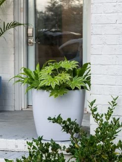 Viva Round Self-Watering Rolling Planter, 20" Diameter, Set Of 2 17 Viva Round Self-Watering Rolling Planter, 20" Diameter, Set Of 2 -Garden Tools Store 3 4 crop 8612933 0025 tif