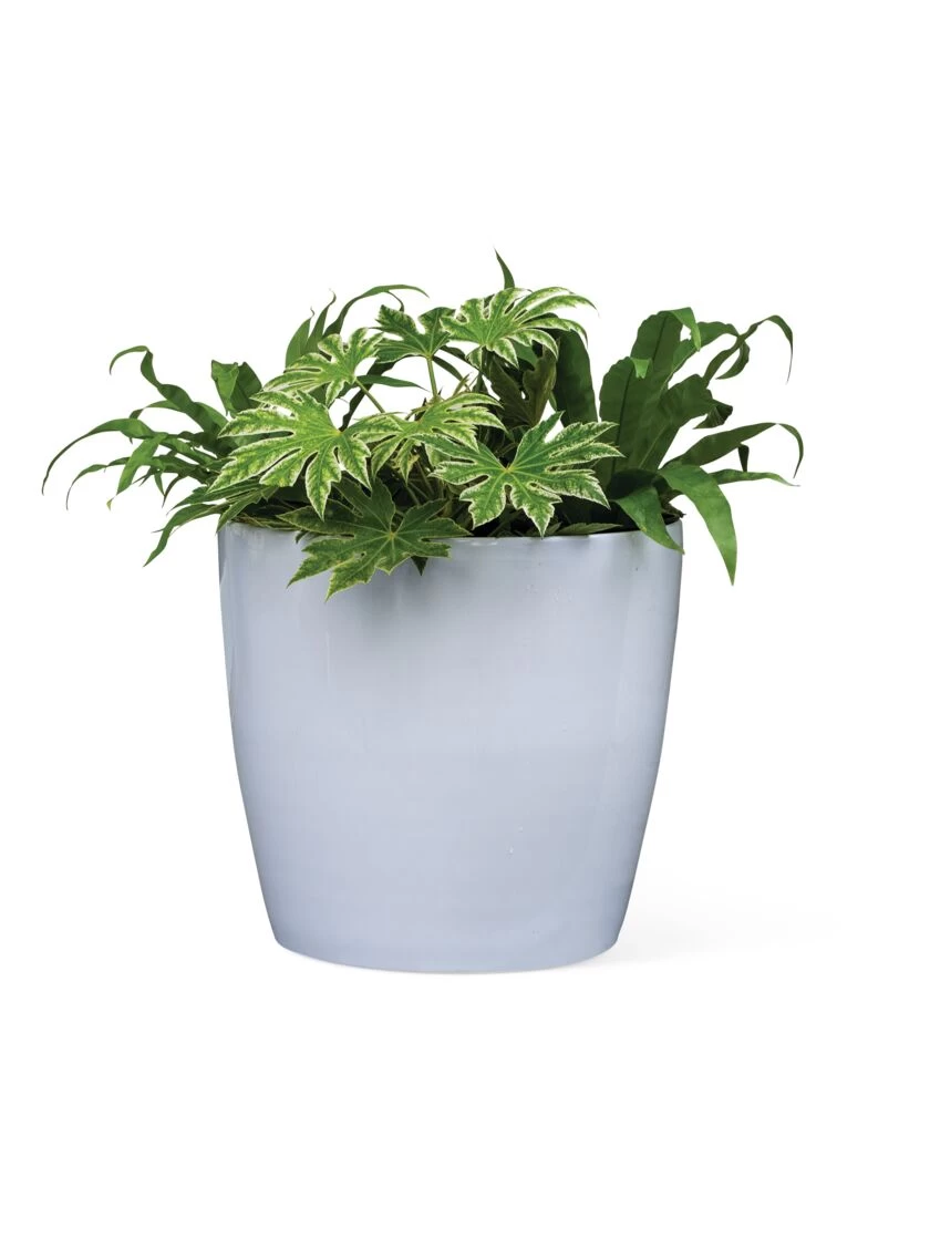 Viva Round Self-Watering Rolling Planter, 20" Diameter, Set Of 2 8 Viva Round Self-Watering Rolling Planter, 20" Diameter, Set Of 2 - Image 6