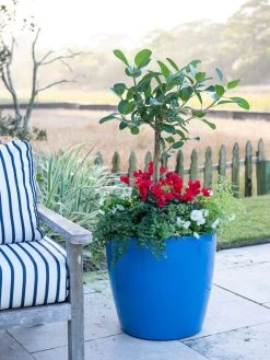 Viva Round Self-Watering Rolling Planter, 20" Diameter, Set Of 2 18 Viva Round Self-Watering Rolling Planter, 20" Diameter, Set Of 2 -Garden Tools Store 3 4 crop 8612933 5312 tif