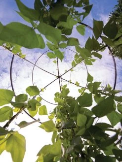 Jardin Tower -Garden Tools Store 3 4 crop 8612997 0033