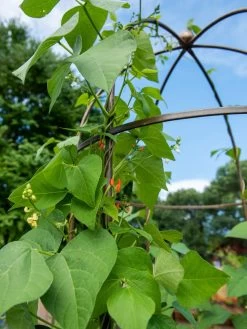 Jardin Tower -Garden Tools Store 3 4 crop 8612997 0058