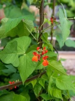 Jardin Tower -Garden Tools Store 3 4 crop 8612997 0059