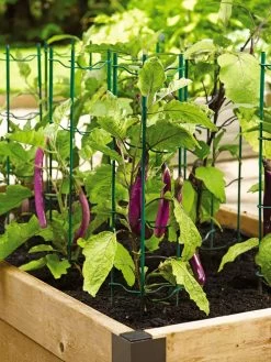 Pepper And Eggplant Stakes, Set Of 3 -Garden Tools Store 40308 2116 tif