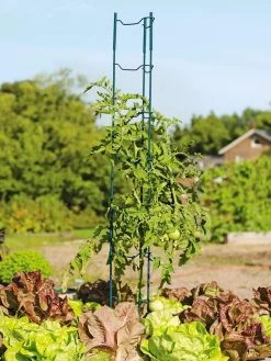 Stacking Tomato Ladders, Set Of 6 -Garden Tools Store 40309 100 tif