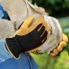 Men's Gold Leaf Winter Touch™ Gloves -Garden Tools Store 8586897 537