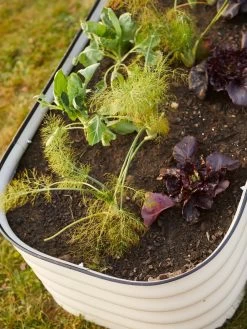 Birdies™ Modular Metal Raised Bed -Garden Tools Store 8586930 6019 tif