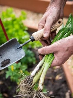 Gardener's Lifetime Trowel -Garden Tools Store 8586972 3286 tif