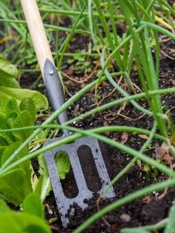 Gardener's Lifetime Spork 10 Gardener's Lifetime Spork -Garden Tools Store 8586973 2383 tif