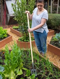 Gardener's Lifetime Spork 11 Gardener's Lifetime Spork -Garden Tools Store 8586973 2405 tif