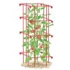 Tomato Cage, Single -Garden Tools Store 8587039 TomatoCage tif