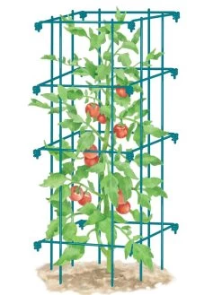 Tomato Cage, Single -Garden Tools Store 8587039 TomatoCage BLUE tif