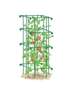 Tomato Cage, Single -Garden Tools Store 8587039 TomatoCage GRN tif