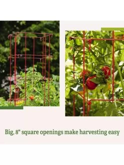 Tomato Cages, Set Of 4 -Garden Tools Store 8587040 2
