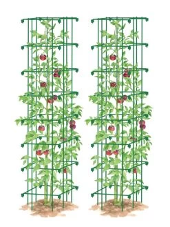 Tomato Towers, Set Of 2 -Garden Tools Store 8587041 0006 GRN tif