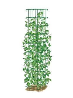 Bean Tower 13 Bean Tower -Garden Tools Store 8587060 0008 GRN tif