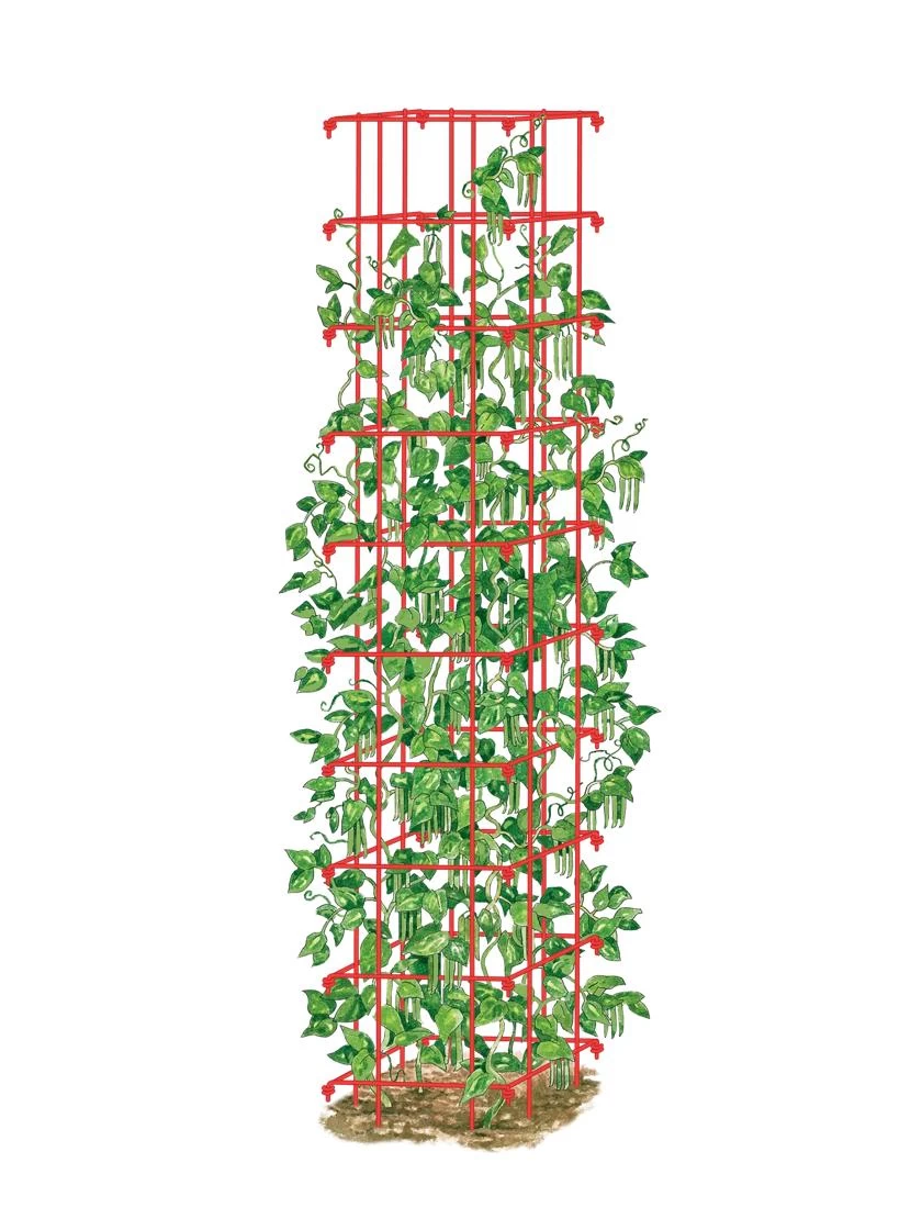 Bean Tower 4 Bean Tower - Image 2