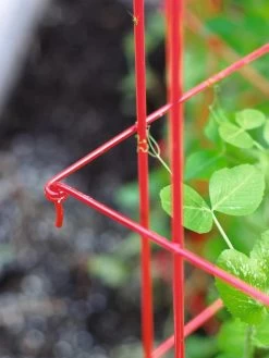 Tall Expandable Pea Trellis 9 Tall Expandable Pea Trellis -Garden Tools Store 8587061 010 tif