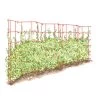 Expandable Pea Trellis -Garden Tools Store 8587061 PeaFence Red 001E tif