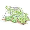 Large Cucumber Trellis 1 Large Cucumber Trellis -Garden Tools Store 8587082 CukeTrellis L Blk 001E tif