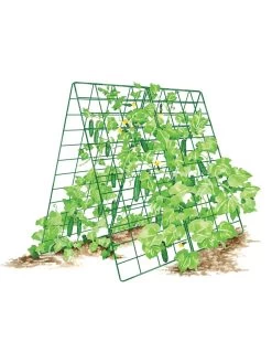 Deluxe Cucumber Trellis 16 Deluxe Cucumber Trellis -Garden Tools Store 8587083 001 GRN tif