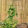 Wire A-Frame Trellis -Garden Tools Store 8587104 526 tif