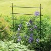 Jardin Ladder Trellis 2 Jardin Ladder Trellis -Garden Tools Store 8587107 1651 tif