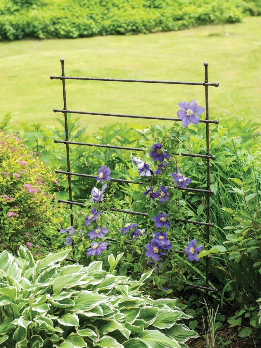 Jardin Ladder Trellis 3 Jardin Ladder Trellis