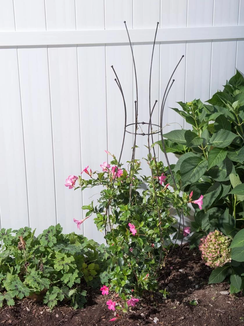 Jardin Pot Trellis 4 Jardin Pot Trellis - Image 2