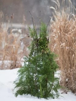 Jardin Pot Trellis 11 Jardin Pot Trellis -Garden Tools Store 8587120 009 tif